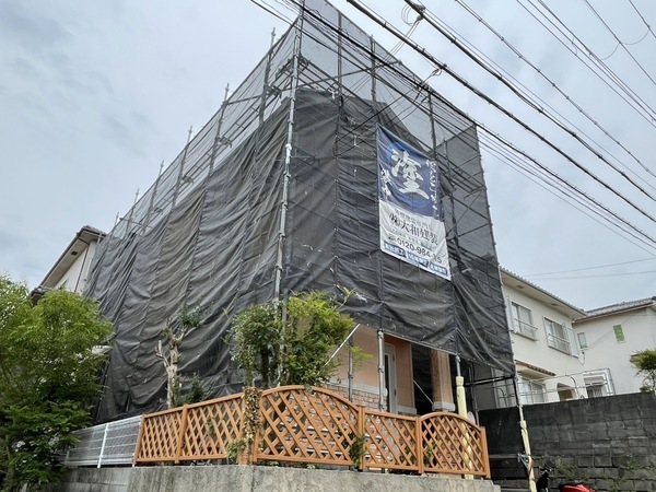 S__261521412_0_コピー