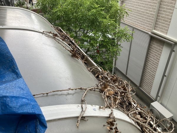 S__6086745_0_コピー_コピー