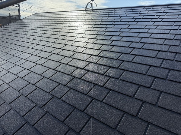 S__67313675_0_コピー