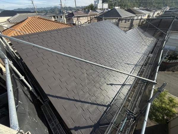 S__67313673_0_コピー