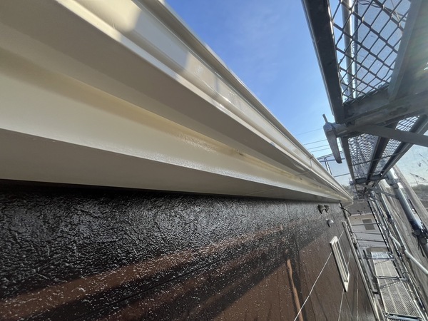 S__87007251_0_コピー