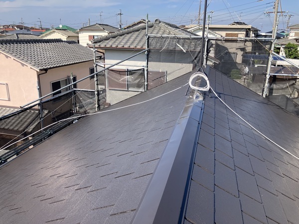 1BA3DD61-2634-4696-AC4B-391C3DBAE70F_コピー