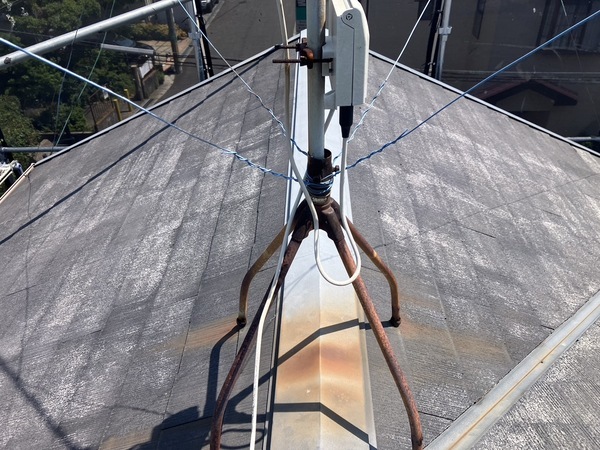 S__6553650_0_コピー