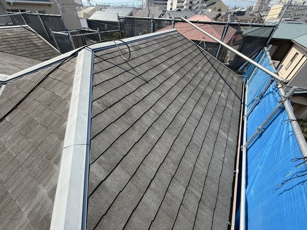 S__67567644_0_コピー