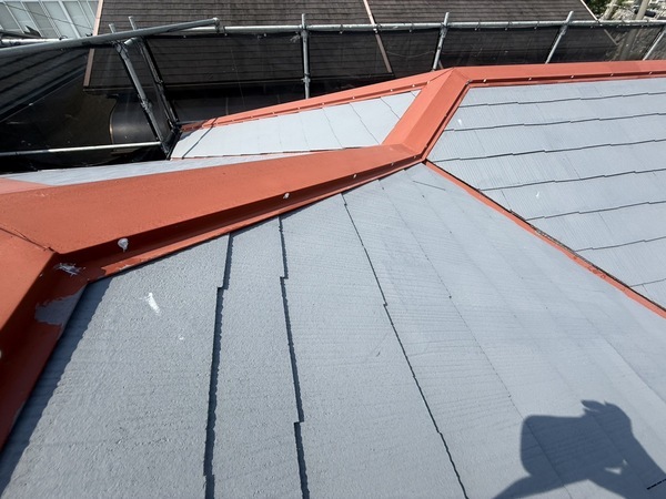 S__68829195_0_コピー