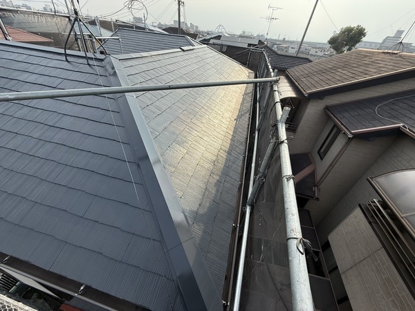 S__68829219_0_コピー