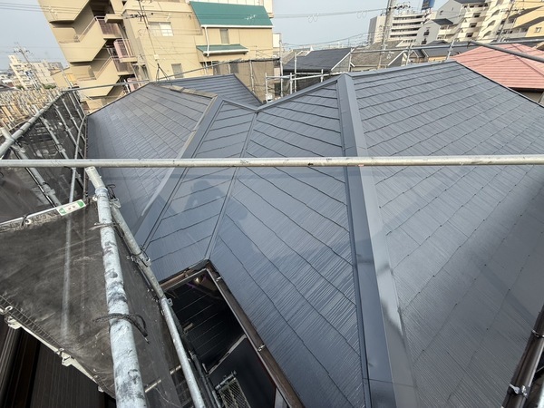 S__68829218_0_コピー