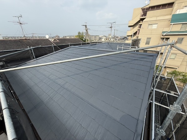 S__68829216_0_コピー