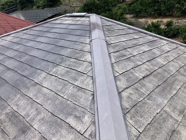 S__6987876_0_コピー