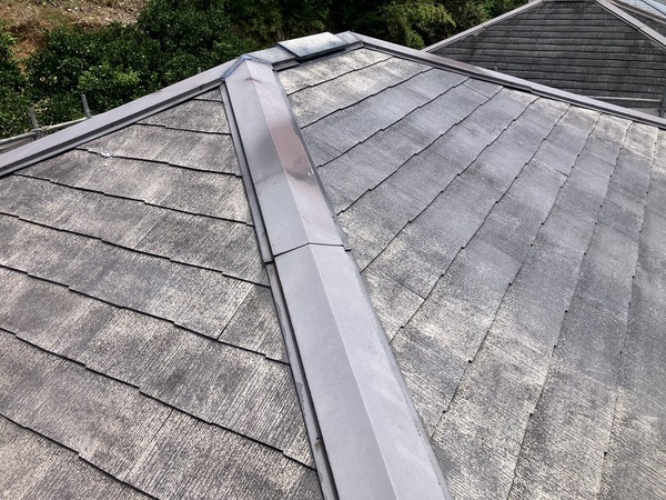 S__6987875_0_コピー