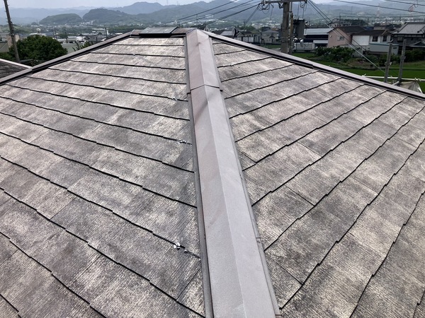 S__6987874_0_コピー