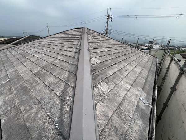 S__87728134_0_コピー