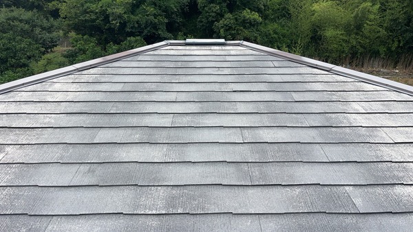 S__87728137_コピー