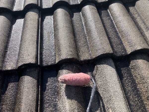 689C1DB7-F7E7-4787-9E02-D894788C6634_コピー