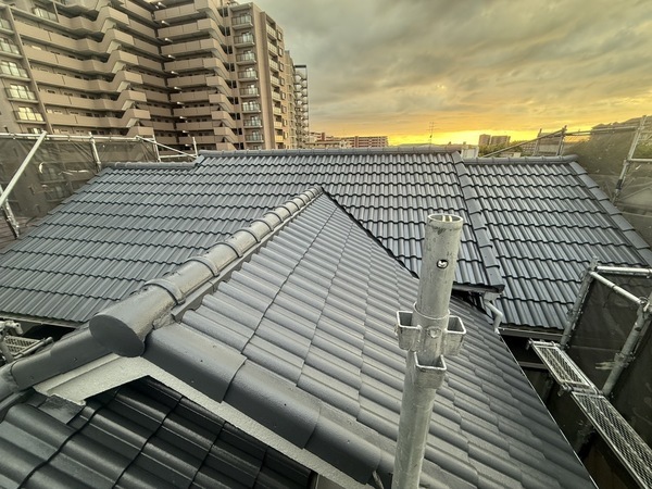 S__71876645_0_コピー