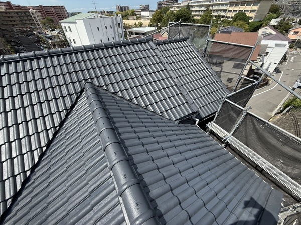 S__71876624_0_コピー