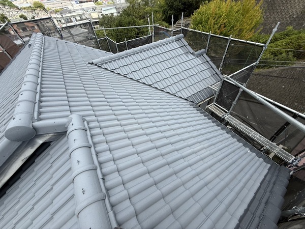 S__71852043_0_コピー