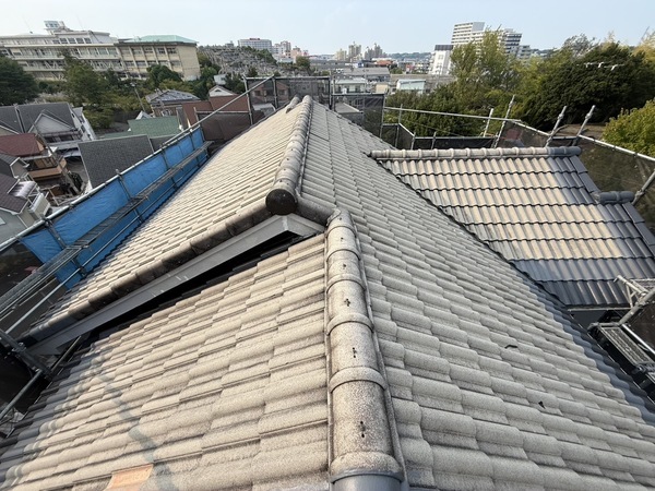 S__71819286_0_コピー