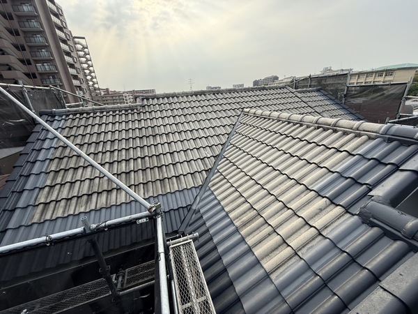 S__71819282_0_コピー