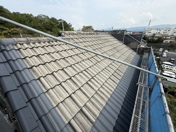 S__71819284_0_コピー