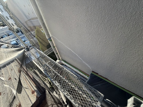 S__71442446_0_コピー