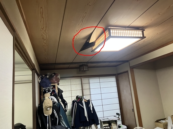 LINE_P20251026_125116_new_コピー