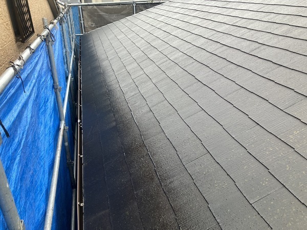 6FB97A7A-8D15-43FC-9F8D-F1FBE4E492E6_コピー_コピー