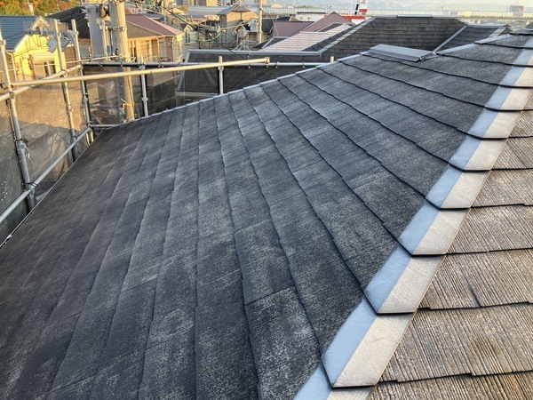 3AC3DBD3-83ED-44A6-8422-236CF6353FF9_コピー