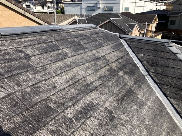 D6779921-BB01-448E-BA8D-CC120BF76EFF_コピー