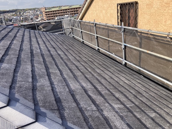 C2D06C4D-634A-4359-A436-C3525390129E_コピー