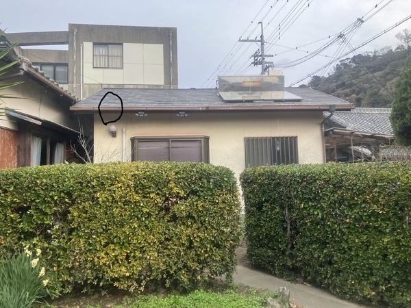 LINE_P2026111_123934_new_コピー