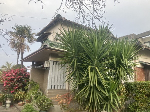 F73B1FF4-E42F-46B1-A81E-EF3B4E71645B_コピー