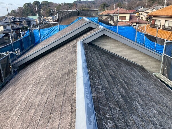 LINE_ALBUM_今井さま_260125_6_コピー