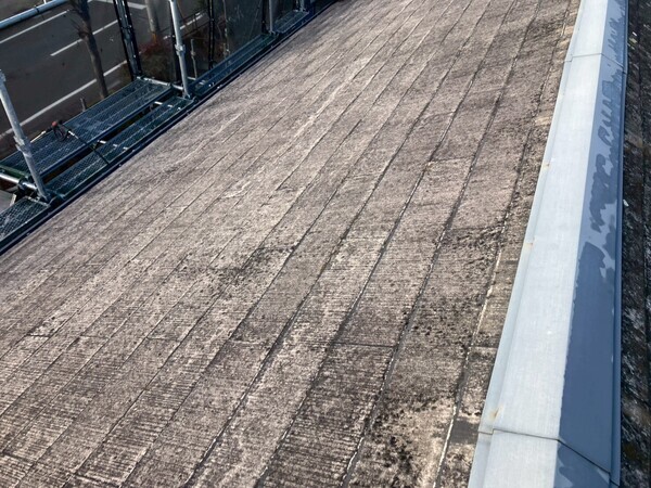 LINE_ALBUM_今井さま_260125_34_コピー