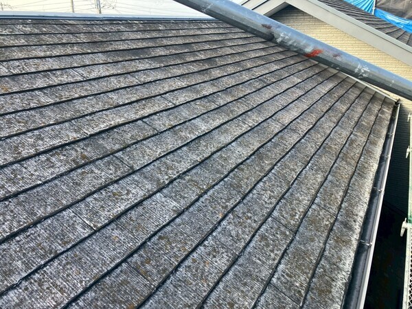 LINE_ALBUM_今井さま_260125_10_コピー