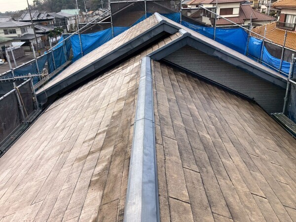 LINE_ALBUM_今井さま_260125_15_コピー