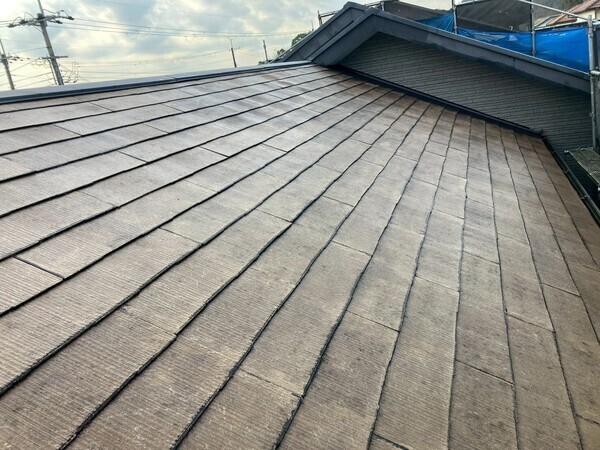 LINE_ALBUM_今井さま_260125_16_コピー