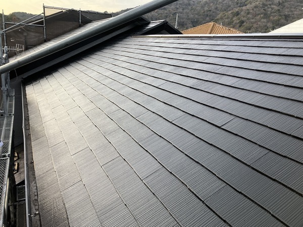 317719CE-D7B5-481E-AEB3-8FF87F197A65_コピー