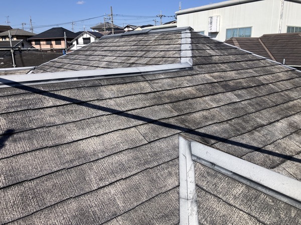 6C68A133-6D34-46D4-9D3C-C77CA0E0545D_コピー