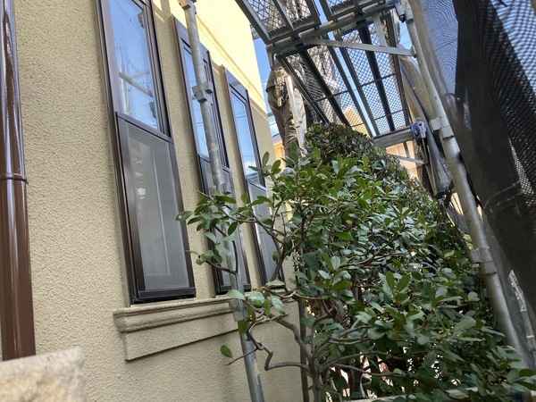 7B2F79BE-3EF2-4563-8244-238EC088654B_コピー