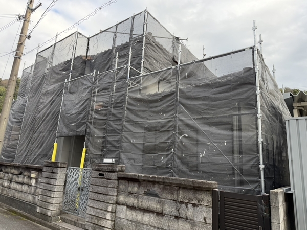 LINE_P2026325_201728_new_コピー